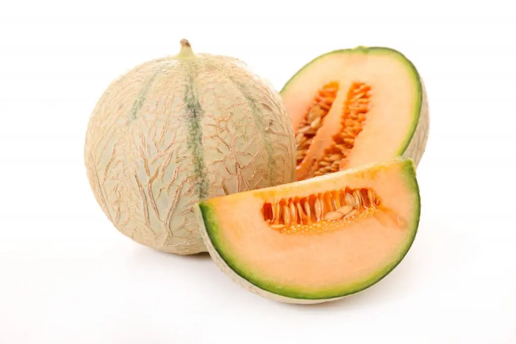 Fresh Muskmelon (Kharbooja): 1 Piece (Approx. 0.7 - 1 kg)
