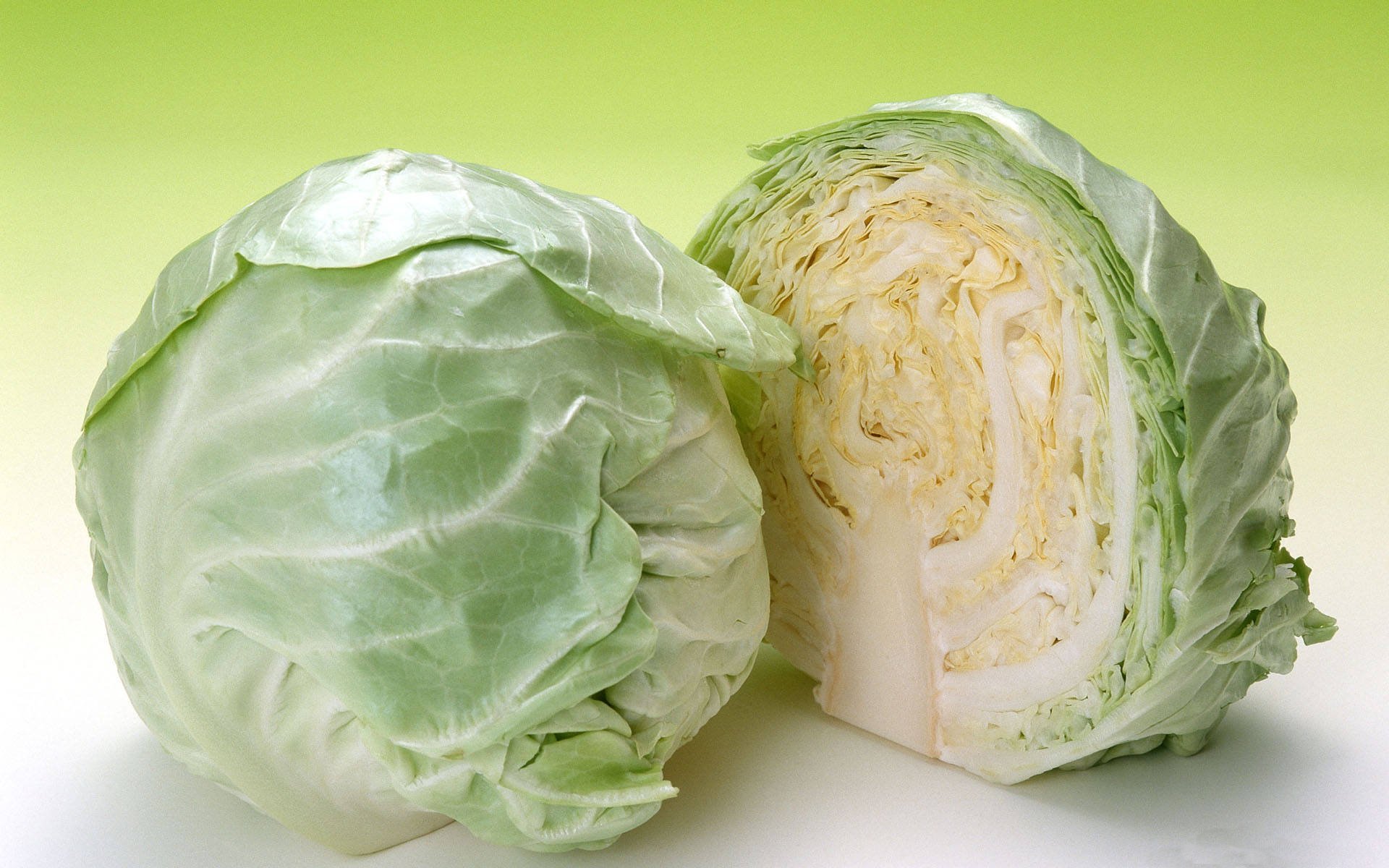 Cabbage (Patta Gobi) : 500 gms