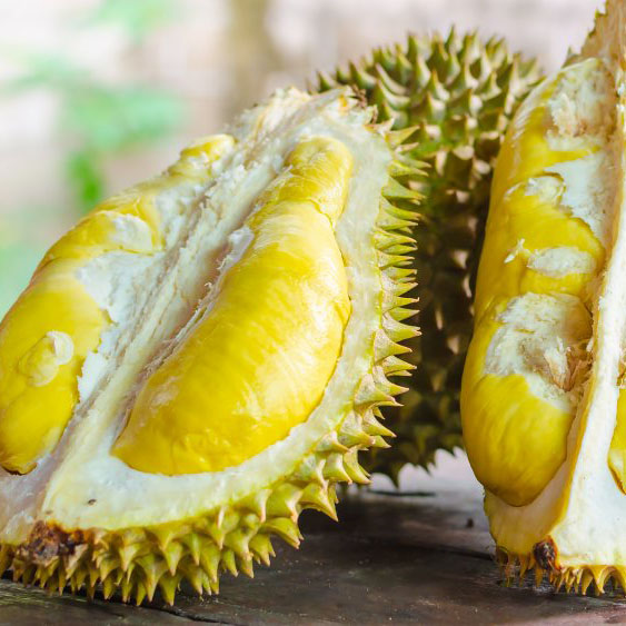 DURIAN WORLD'S SMELLIEST FRUIT