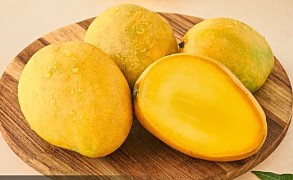 Mango Banganpalli